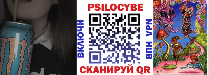 Галлюциногенные грибы Psilocybe  сайты даркнета клад  Аша 