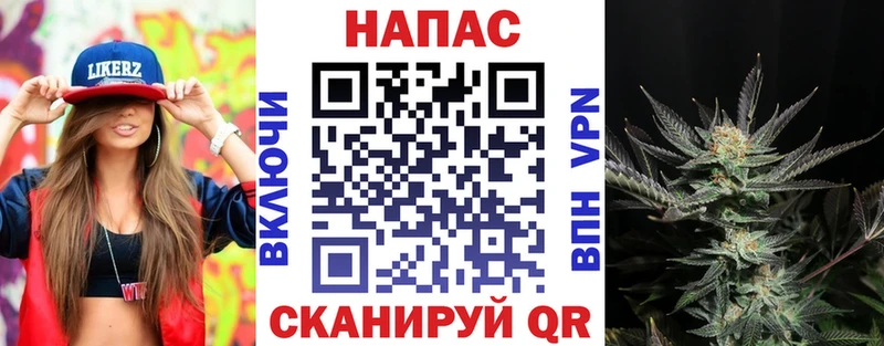 Конопля MAZAR Аша